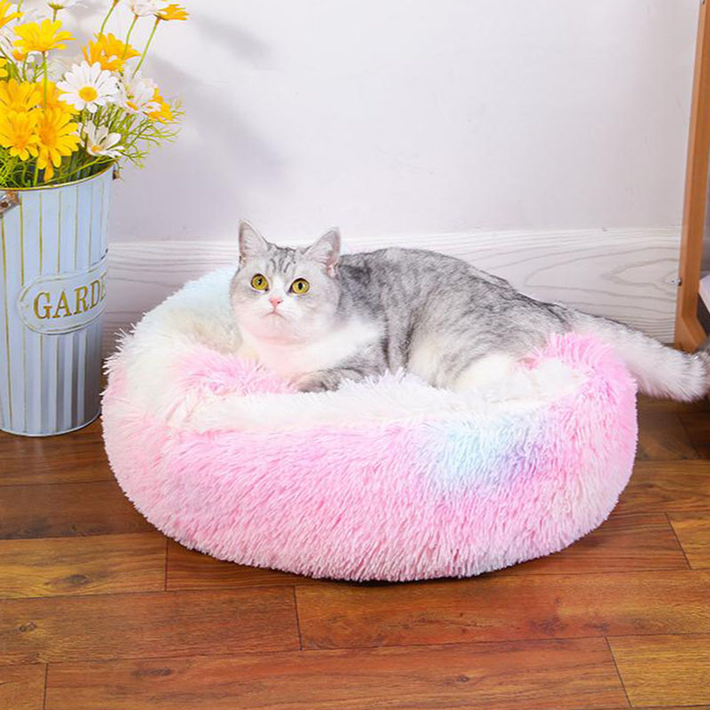 Shell Pet Bed